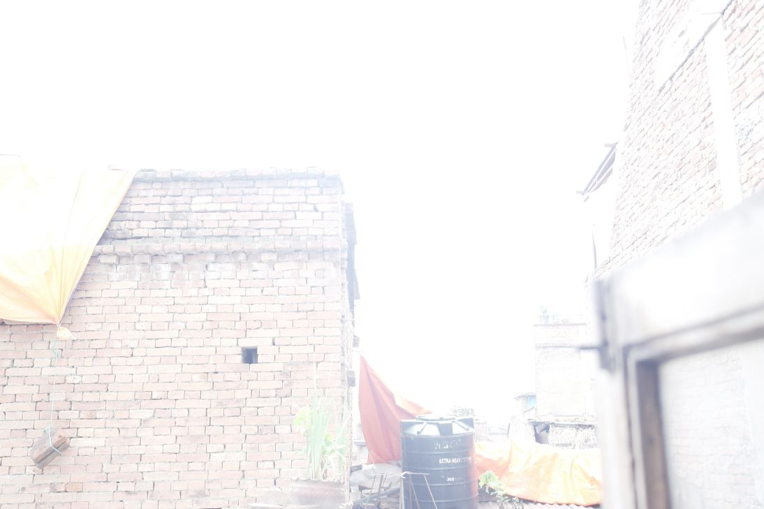 The Viral Loop Strategy Behind Rapid User Growth in 2025